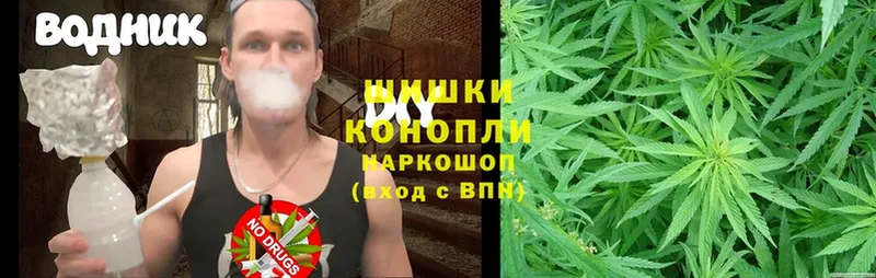 наркота  Морозовск  Каннабис THC 21% 